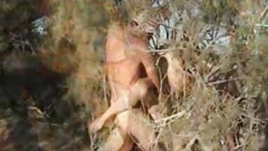 tôi xnxx mỹ phá trinh và con chó của tôi